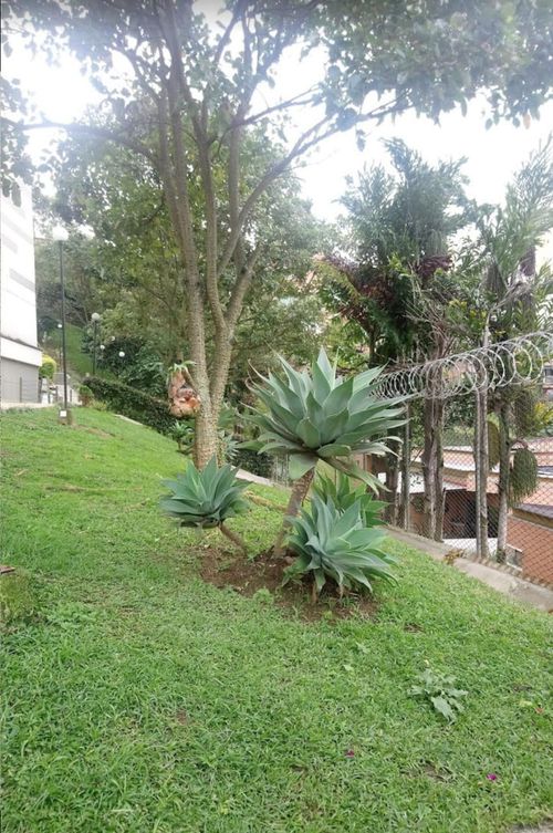 Apartamento en venta en Las Lomitas, Sabaneta · foto 17 de 24