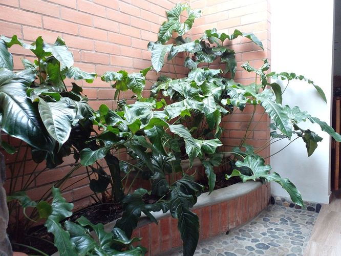 Casa de 4 alcobas en venta en Mesa, Envigado, 385 m² · foto 16 de 20