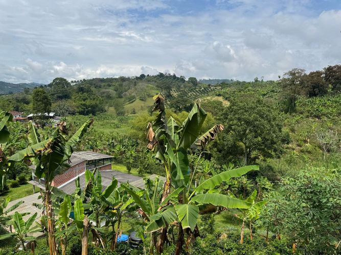 Finca en venta en La China, Manizales, 250 m² · foto 8 de 24