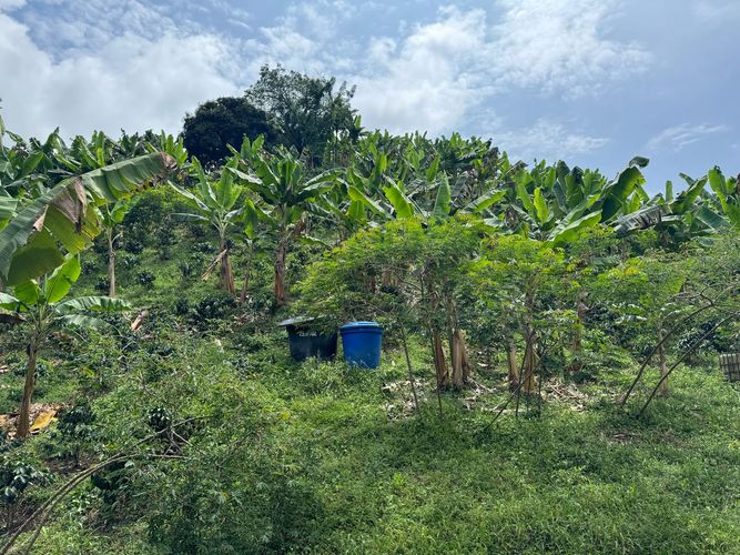 Finca en venta en La China, Manizales, 250 m² · foto 12 de 24
