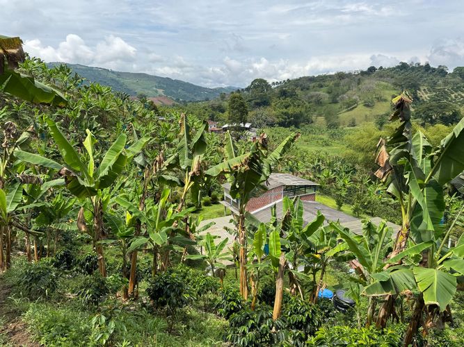 Finca en venta en La China, Manizales, 250 m² · foto 13 de 24