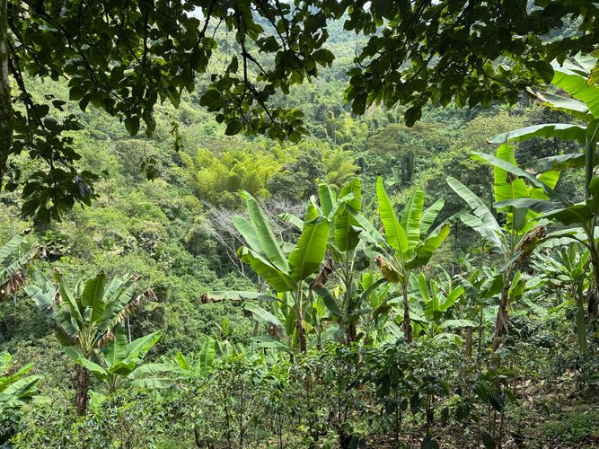 Finca en venta en La China, Manizales, 250 m² · foto 21 de 24