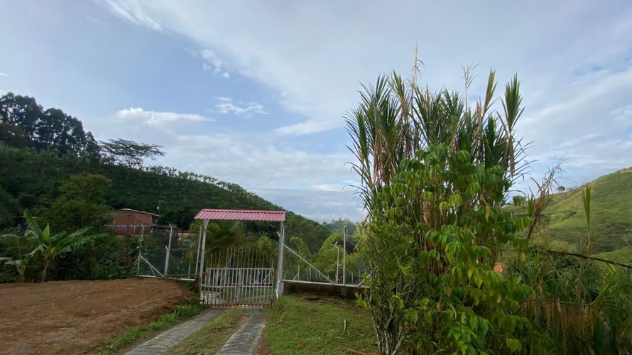 Lote en venta en Combia, Pereira, 500 m² · foto 9 de 11