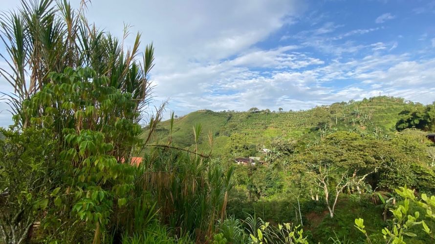 Lote en venta en Combia, Pereira, 500 m² · foto 10 de 11