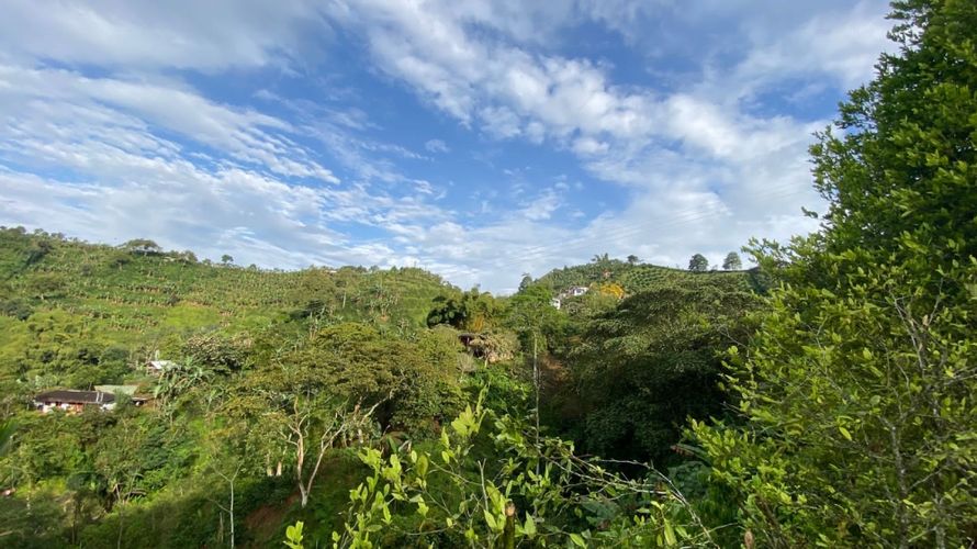 Lote en venta en Combia, Pereira, 500 m² · foto 11 de 11