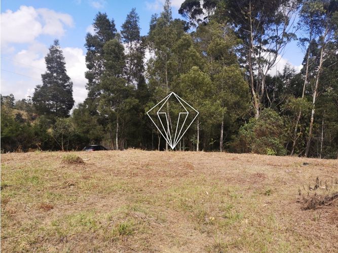 Lote en venta en Los Pinos, Rionegro, 10965 m² · foto 5 de 19