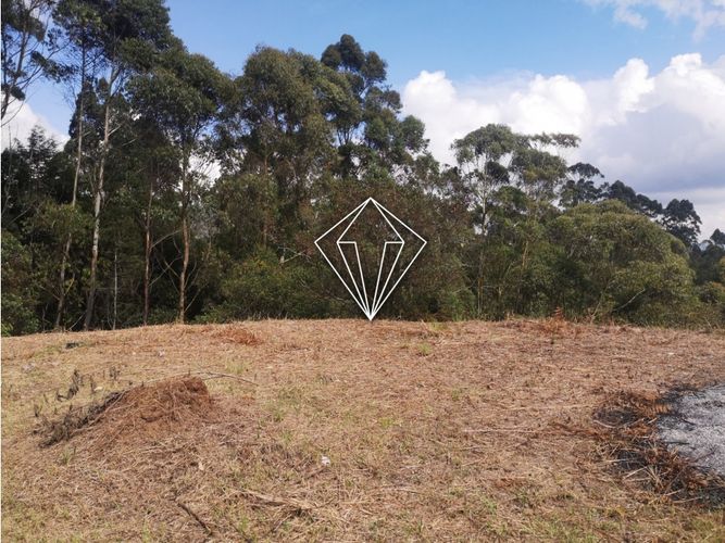 Lote en venta en Los Pinos, Rionegro, 10965 m² · foto 6 de 19