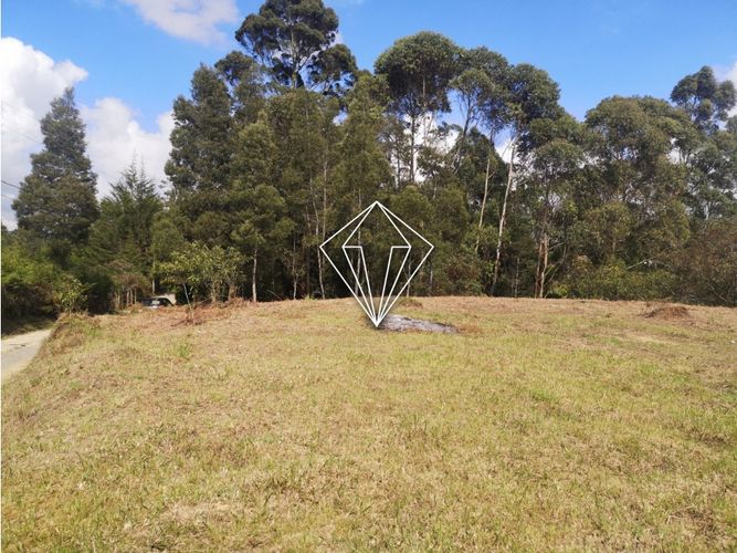Lote en venta en Los Pinos, Rionegro, 10965 m² · foto 7 de 19