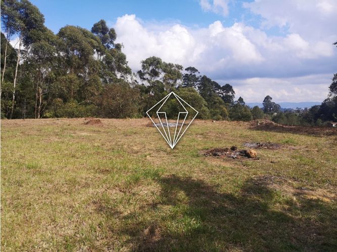 Lote en venta en Los Pinos, Rionegro, 10965 m² · foto 11 de 19
