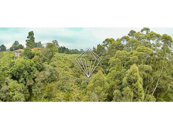 Lote en venta en Los Pinos, Rionegro, 10965 m² · foto 14 de 19