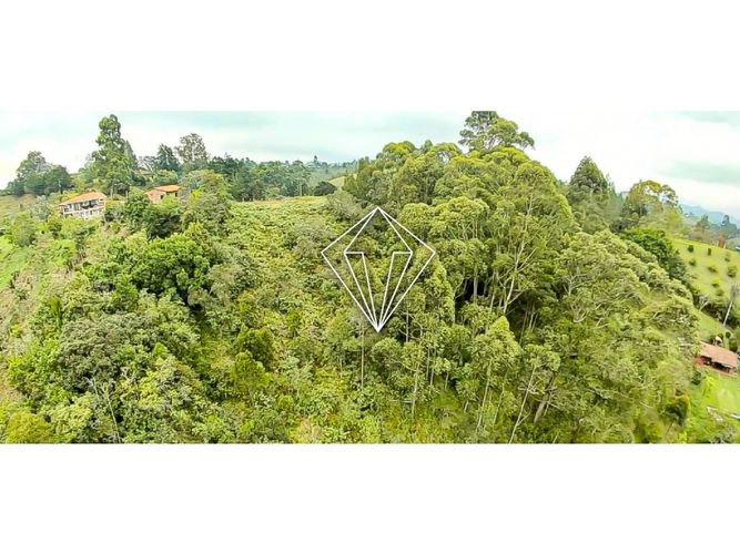 Lote en venta en Los Pinos, Rionegro, 10965 m² · foto 17 de 19