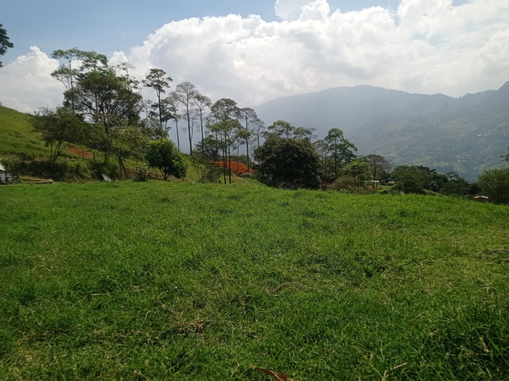 -1BR Land in Centro for Sale
