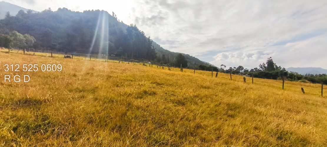 Lote en venta en Montana, Sopó, 9720 m² · foto 2 de 21