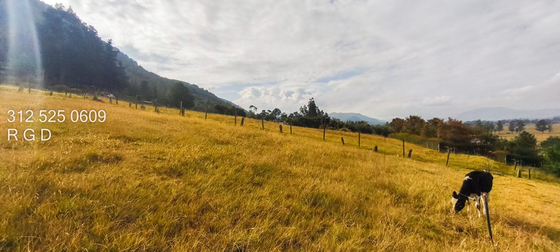 Lote en venta en Montana, Sopó, 9720 m² · foto 4 de 21