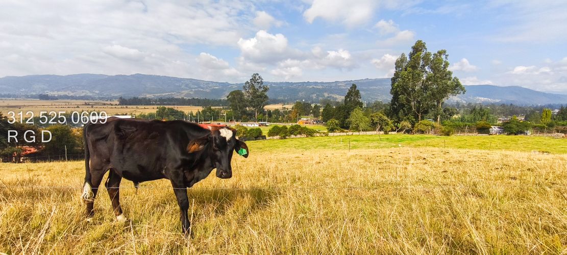 Lote en venta en Montana, Sopó, 9720 m² · foto 5 de 21