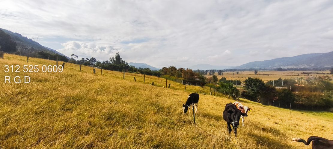 Lote en venta en Montana, Sopó, 9720 m² · foto 6 de 21