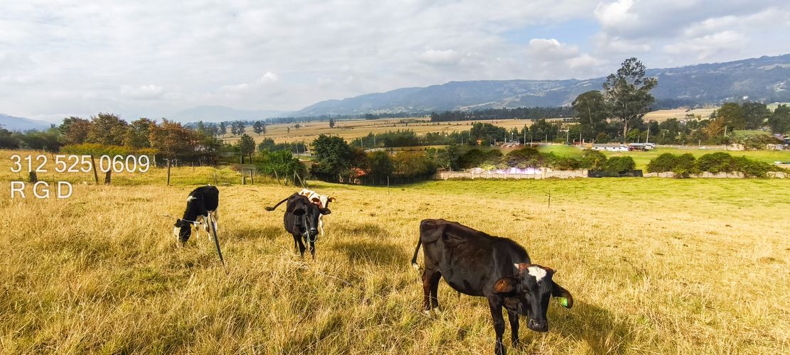 Lote en venta en Montana, Sopó, 9720 m² · foto 7 de 21