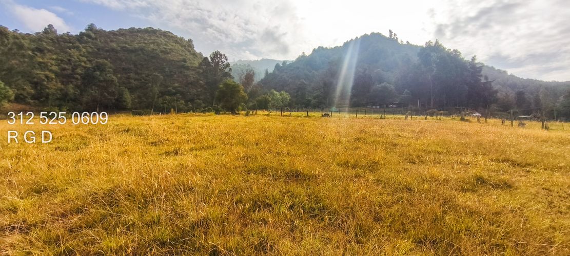 Lote en venta en Montana, Sopó, 9720 m² · foto 8 de 21