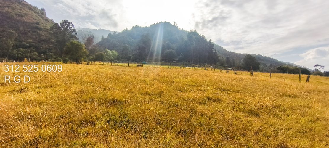 Lote en venta en Montana, Sopó, 9720 m² · foto 10 de 21