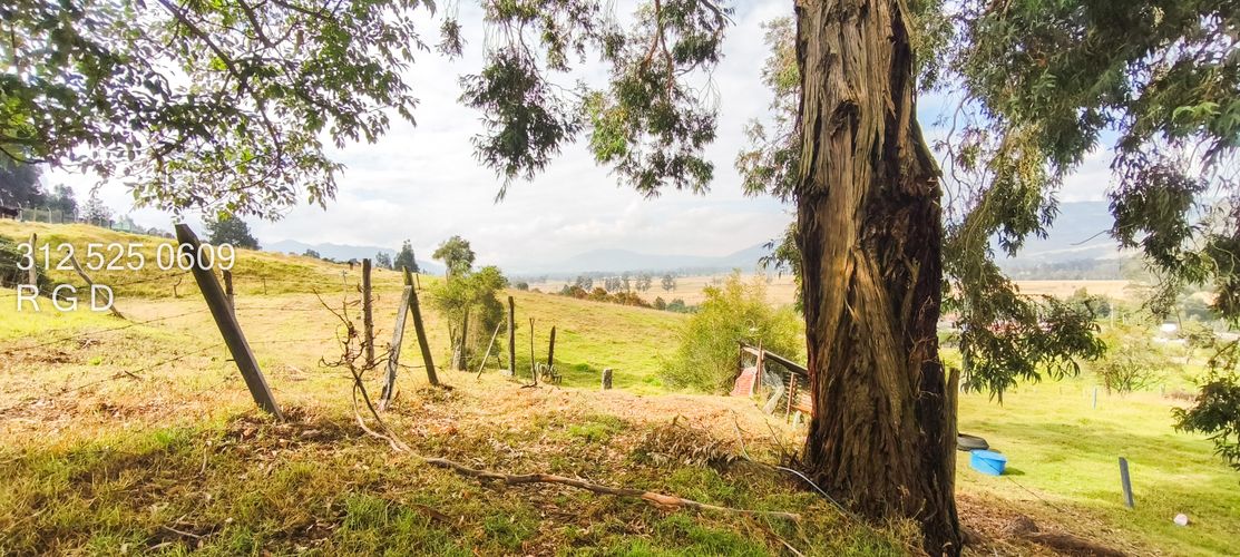 Lote en venta en Montana, Sopó, 9720 m² · foto 12 de 21