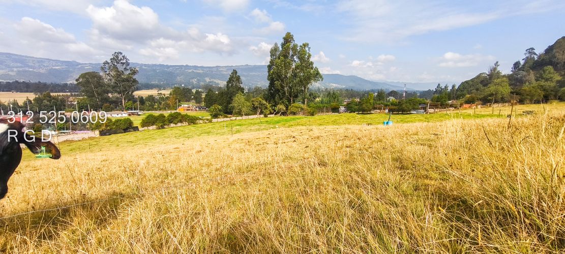 Lote en venta en Montana, Sopó, 9720 m² · foto 13 de 21
