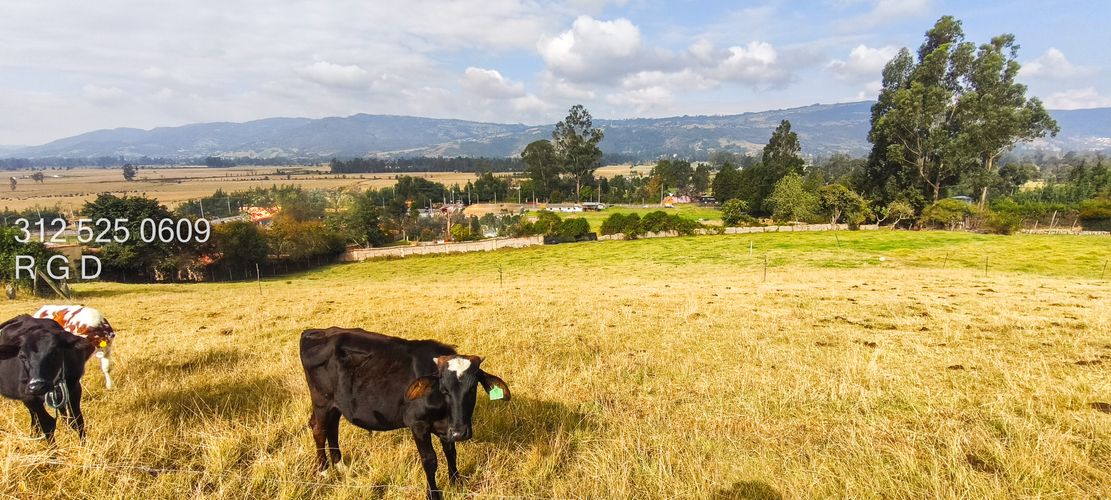 Lote en venta en Montana, Sopó, 9720 m² · foto 16 de 21