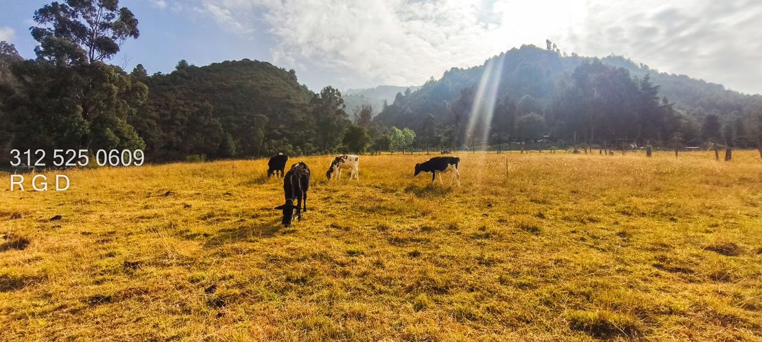 Lote en venta en Montana, Sopó, 9720 m² · foto 17 de 21