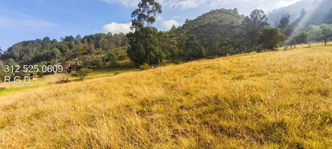 Lote en venta en Montana, Sopó, 9720 m² · foto 18 de 21