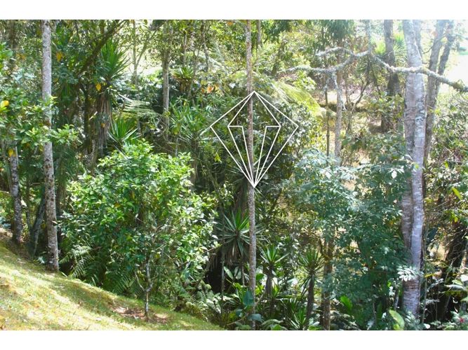Finca en venta en La Ceja, 315 m² · foto 16 de 22