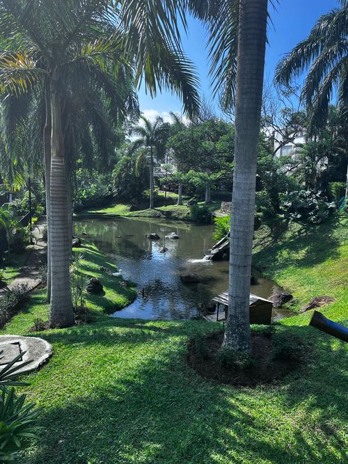 Casa de 4 alcobas en venta en Pance, Cali, 313 m² · foto 7 de 8
