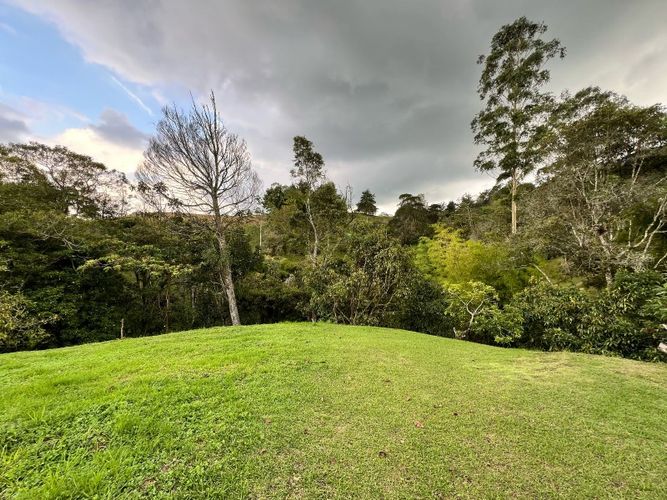 Lote en venta en El Tambo, La Ceja · foto 2 de 19