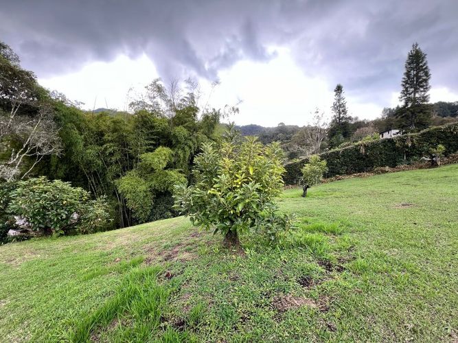 Lote en venta en El Tambo, La Ceja · foto 5 de 19