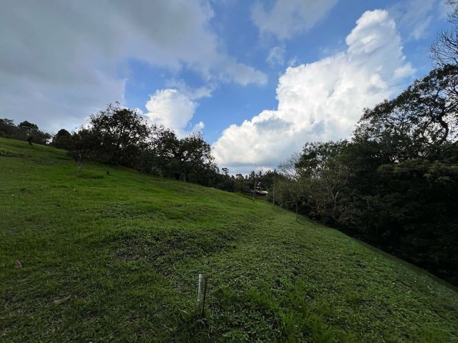 Lote en venta en El Tambo, La Ceja · foto 6 de 19