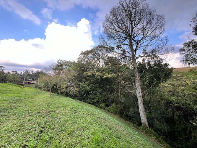 Lote en venta en El Tambo, La Ceja · foto 7 de 19