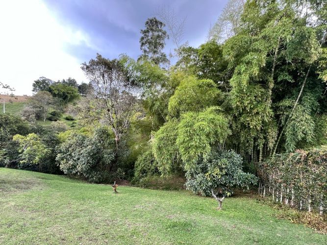 Lote en venta en El Tambo, La Ceja · foto 8 de 19