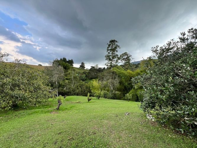 Lote en venta en El Tambo, La Ceja · foto 9 de 19