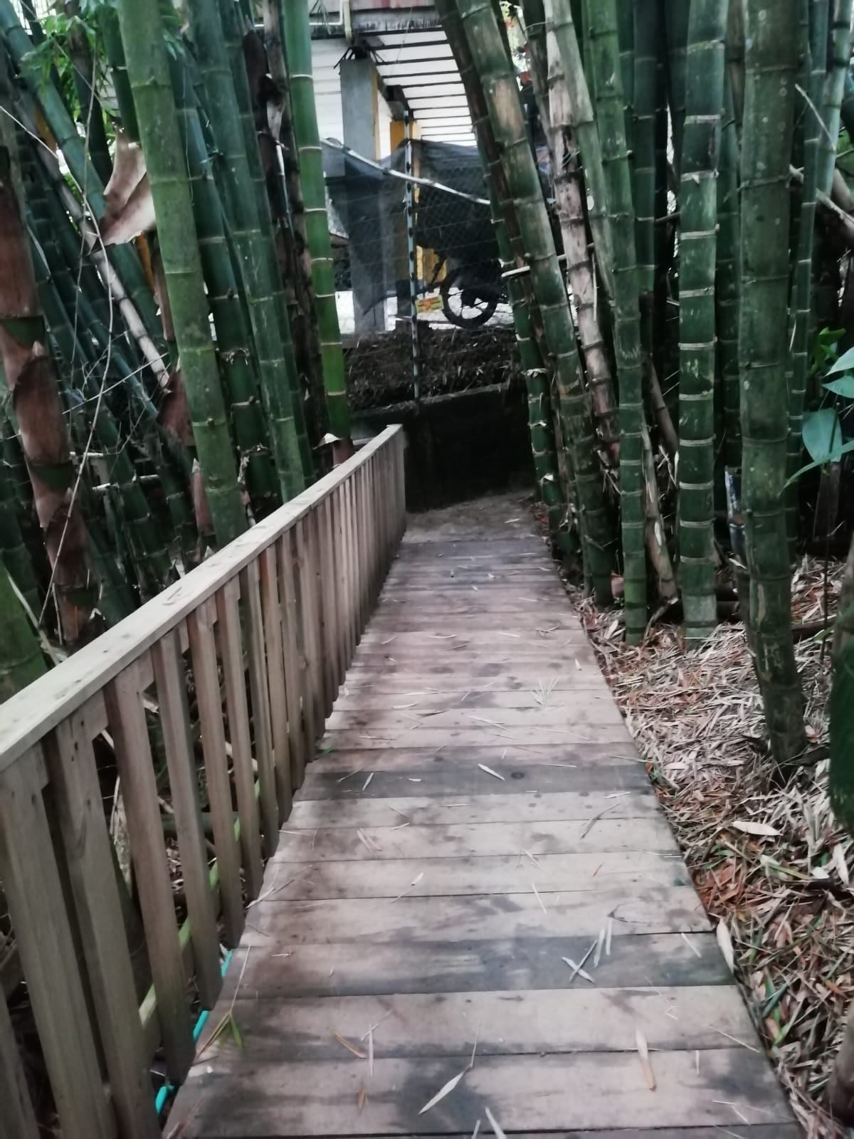 Apartamento en venta en Camino Verde, Envigado · foto 18 de 24