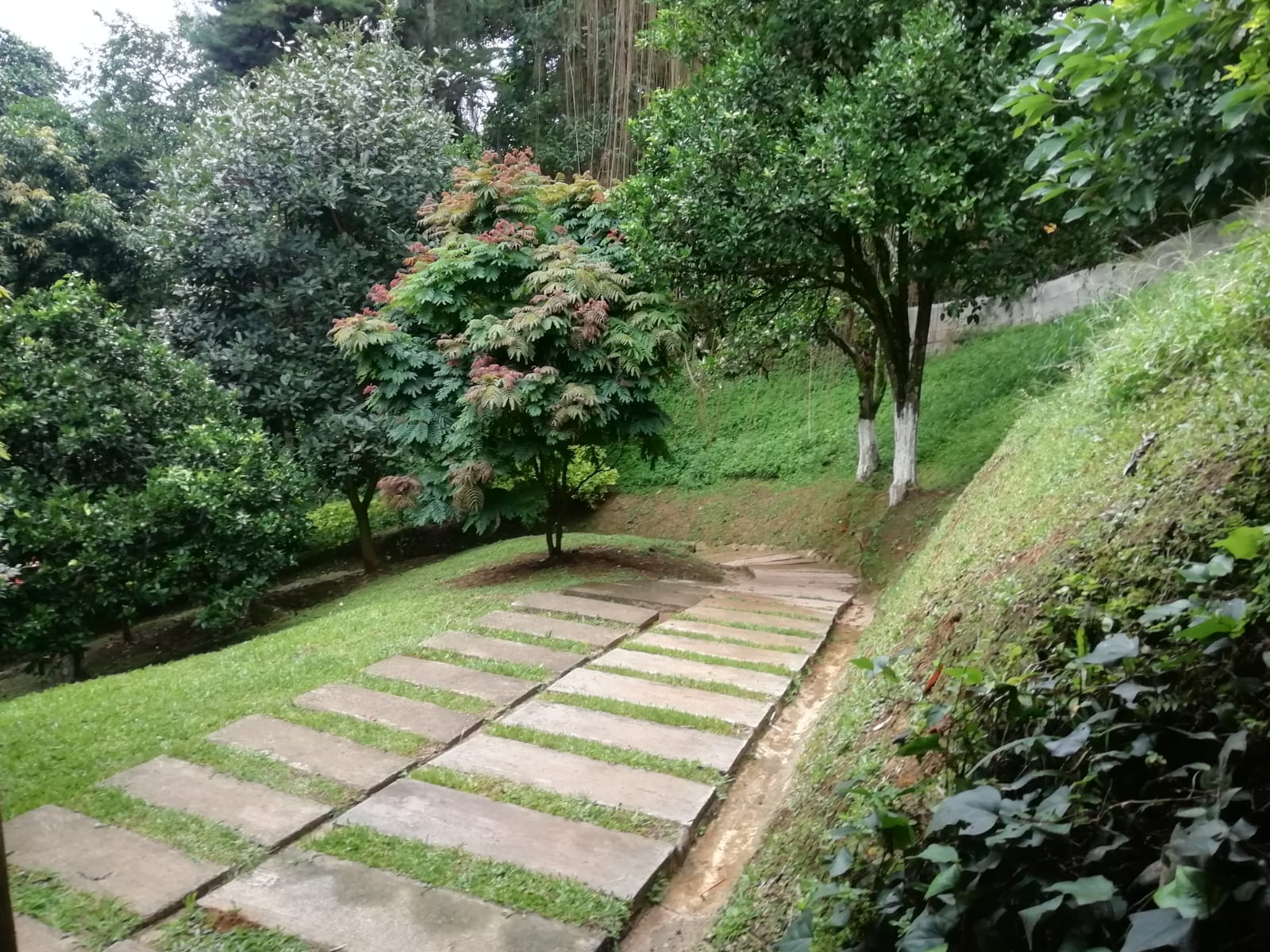 Apartamento en venta en Camino Verde, Envigado · foto 19 de 24