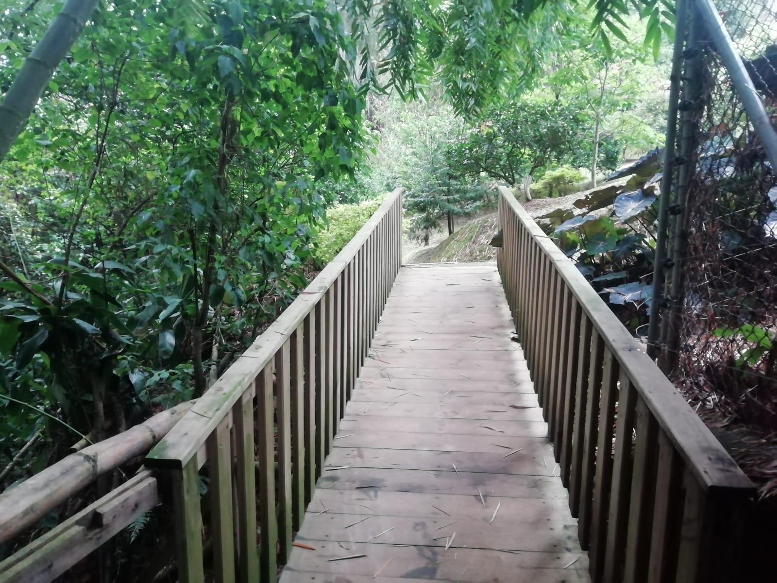 Apartamento en venta en Camino Verde, Envigado · foto 21 de 24