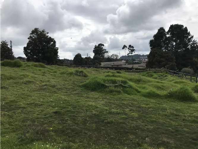 Finca en venta en Las Palmas, Envigado, 13665 m² · foto 11 de 23
