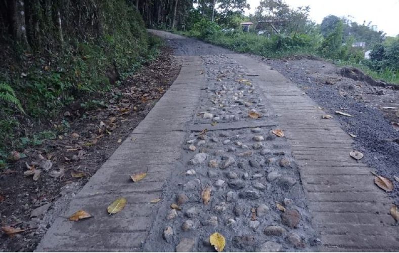 Finca en venta en El Arenillo, Manizales, 434 m² · foto 4 de 8