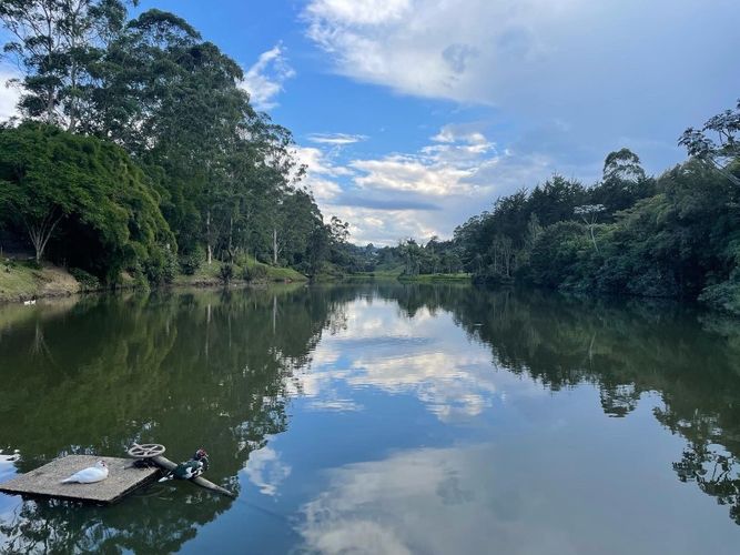 Lote en venta en El Porvenir, Rionegro, 3333 m² · foto 4 de 21