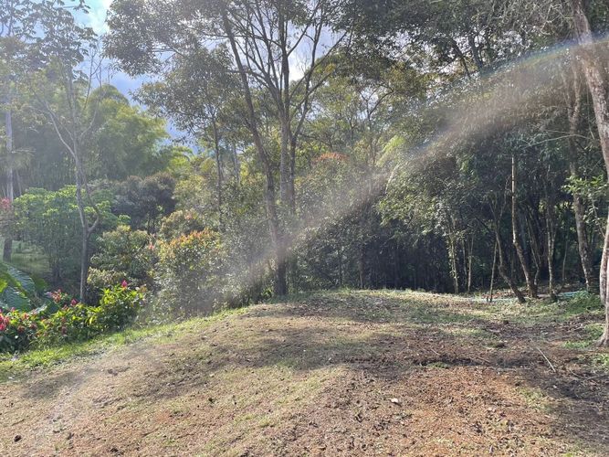 Lote en venta en El Porvenir, Rionegro, 3333 m² · foto 13 de 21