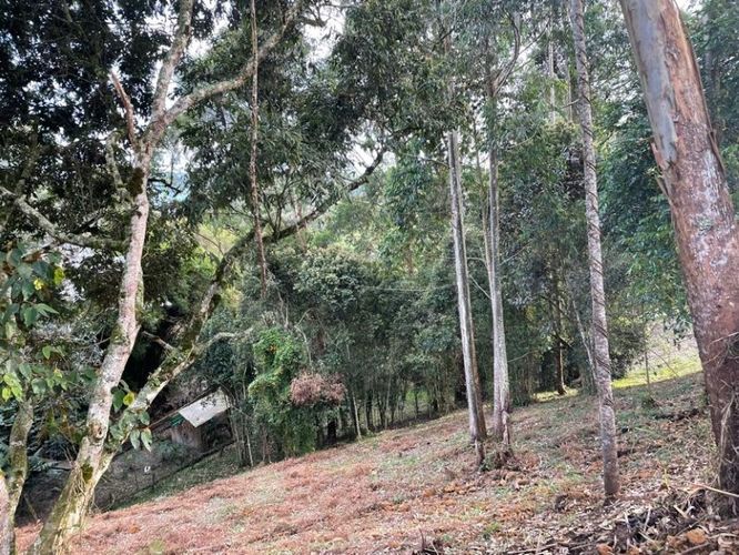 Lote en venta en Quirama, El Carmen de Viboral, 3099 m² · foto 2 de 5