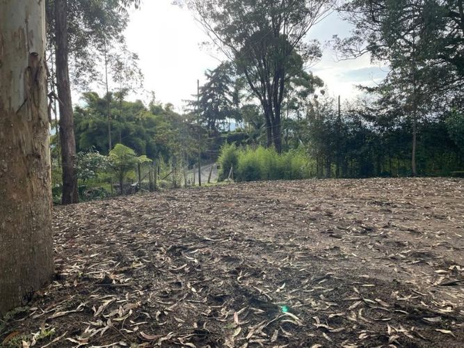 Lote en venta en Quirama, El Carmen de Viboral, 3099 m² · foto 3 de 5