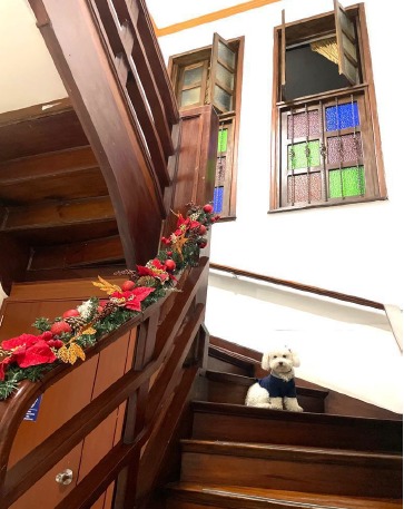 Casa en venta en La Candelaria, Bogotá · foto 14 de 15