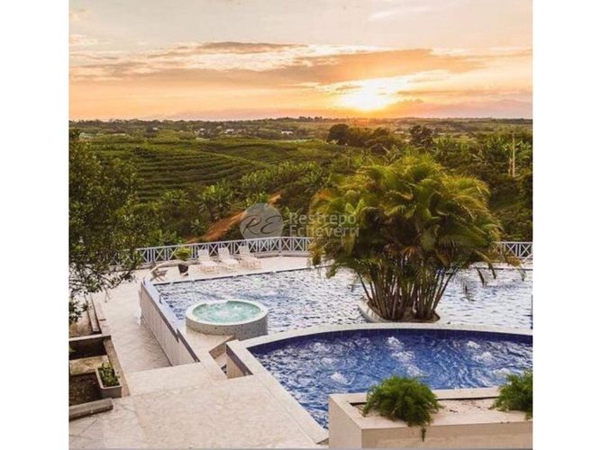 Finca en venta en Combia, Pereira, 10000 m² · foto 16 de 24