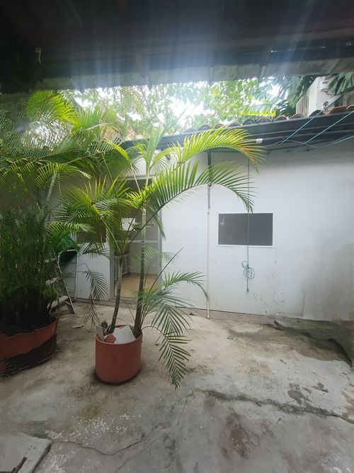 Casa de 8 alcobas en venta en El Peñon, Cali, 240 m² · foto 16 de 23