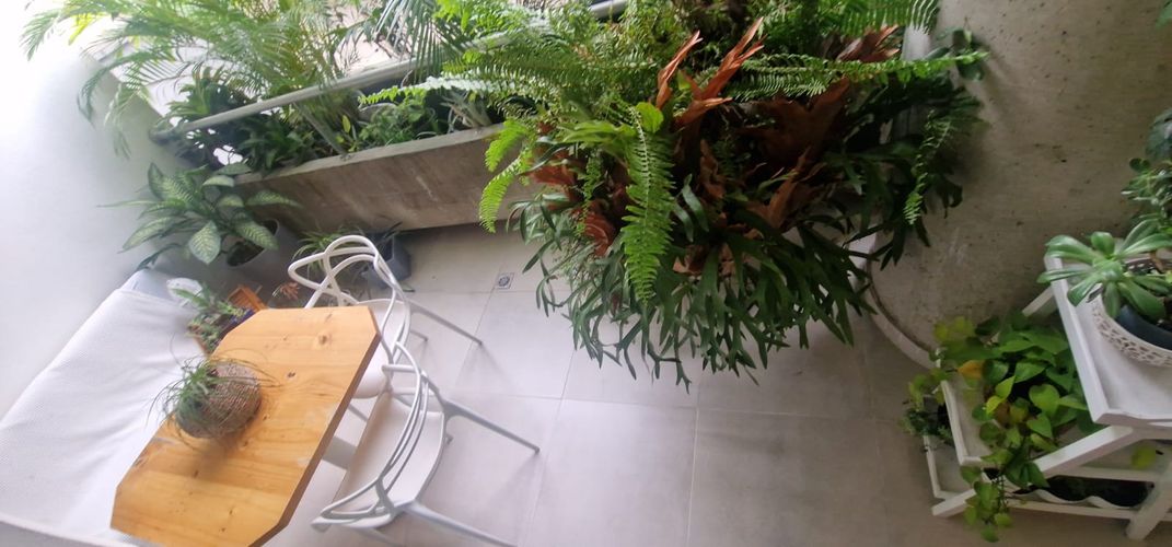 Apartamento de 3 alcobas en venta en Santa Monica, Cali, 165 m² · foto 11 de 24