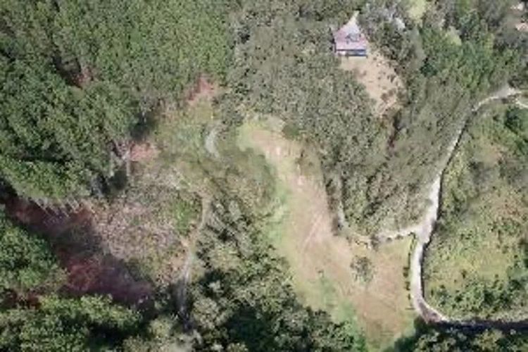 Lote en venta en El Retiro, 12000 m² · foto 6 de 7